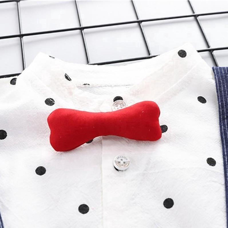 Bow Knot Casual Clothing Set