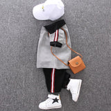 Summer Wear Casual T-Shirt and Shorts